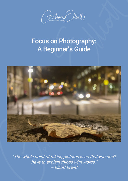 Focus on Photography: A Beginners Guide